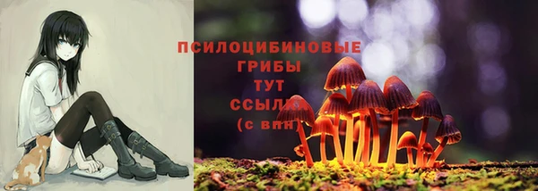 a pvp Армянск