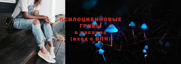 ALPHA PVP Аркадак