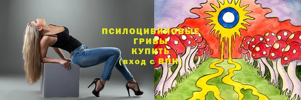 a pvp Армянск