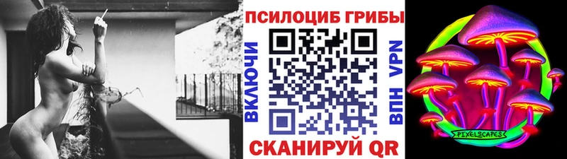 как найти   Няндома  Псилоцибиновые грибы Psilocybe 